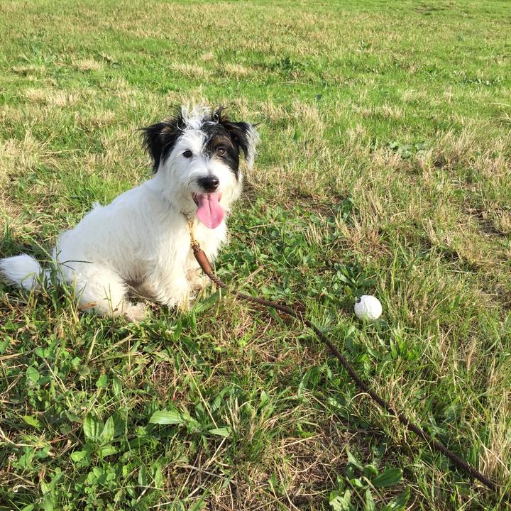 E313e5a6 04a7 42a7 9e47 43bd25411006