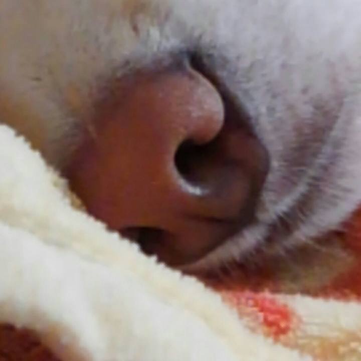 E3141801 beee 4639 8a76 28b8c010bcc8