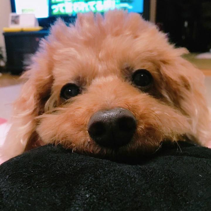 E31449b3 866a 44e5 943b b9fab5ee21f9