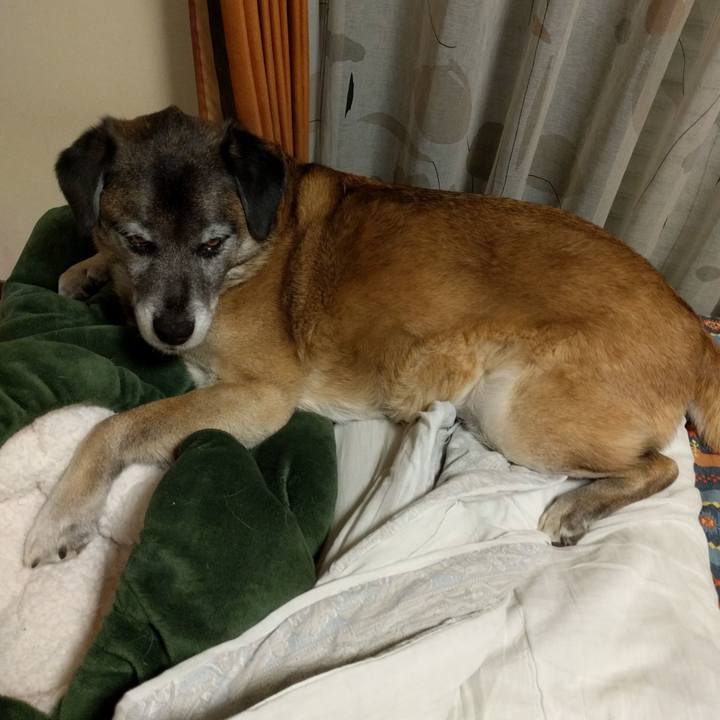 E31469f2 e9e5 4713 9205 b4c678ac371f