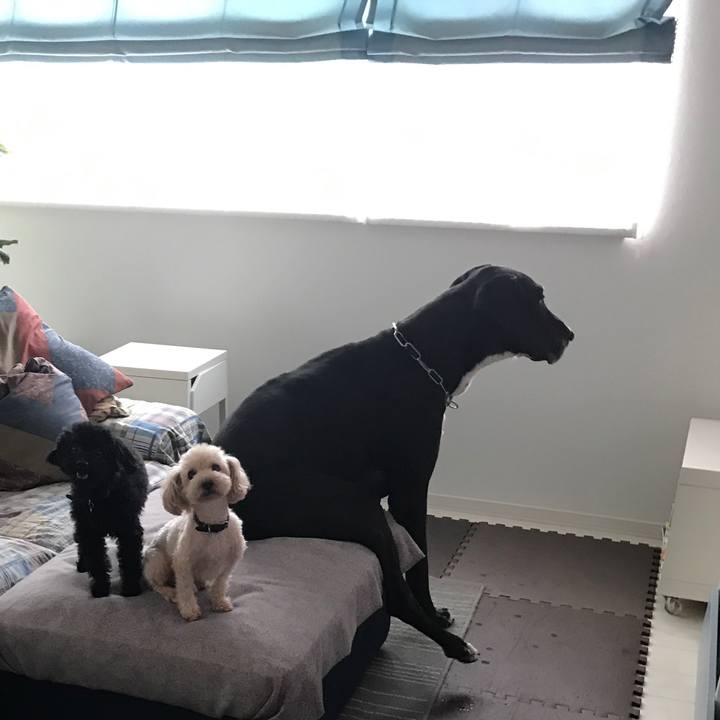 E314e2a9 e8b4 4de0 a100 b156c15fbe8c