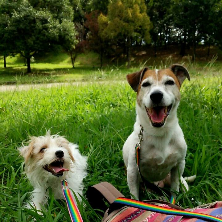 E3152e91 79ae 4c8e 9e72 d213e78a56e6