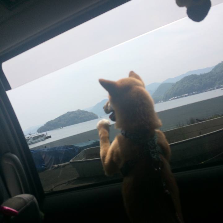 E31544bd cce7 44ad 9fb7 999a25820a36