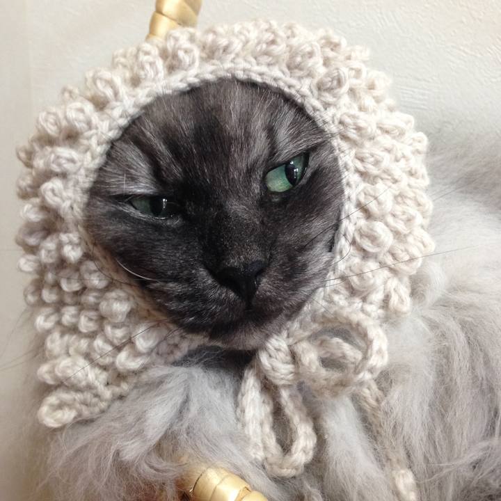 E315a0d0 ad1f 4e24 836a 9ac9bea31876