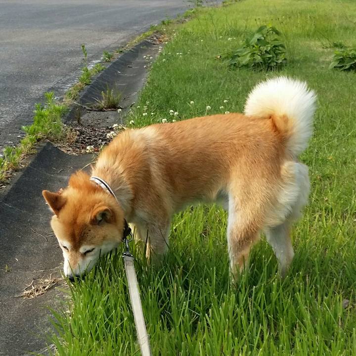 E315e915 b06b 4096 8bf6 ed7ca16330ae