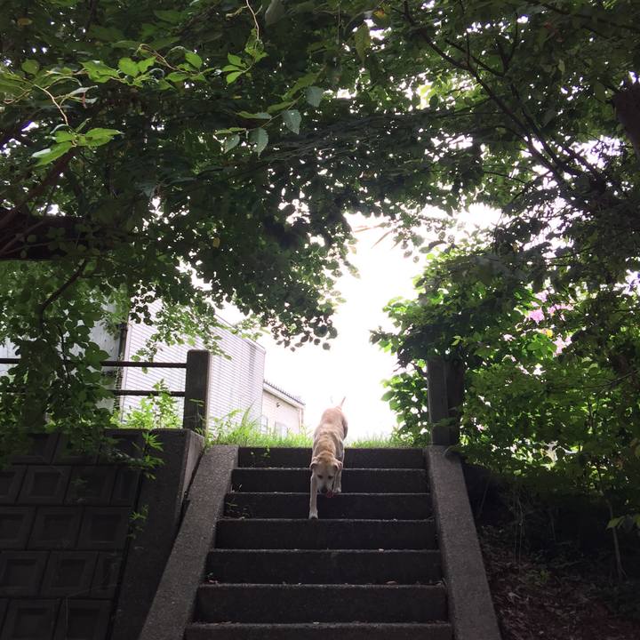 E31619e3 b700 4b54 b12c ef910f989868