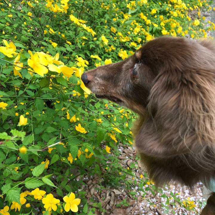 E31637d6 5412 43e0 bc1d 8a1668609e6d