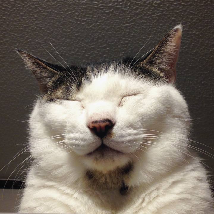 E3169a76 ebb9 4bde ace0 47db6bb5d565