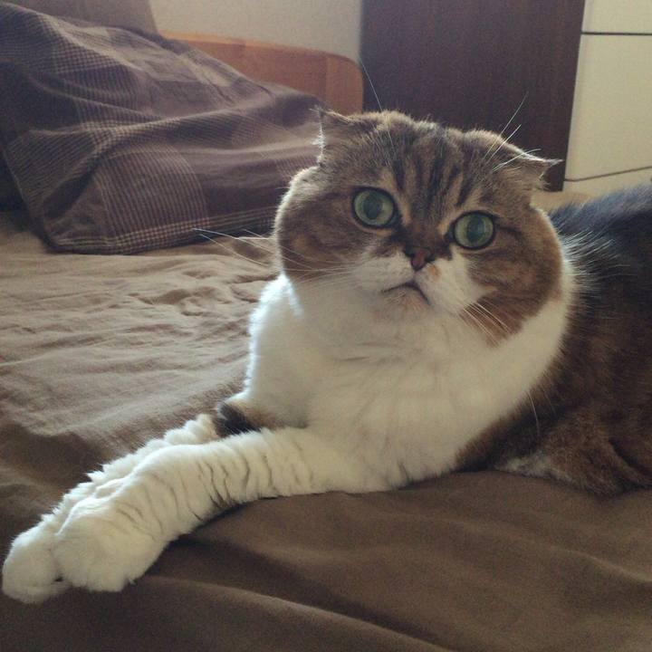 E3172a76 8899 4a2b 83be f50b09b62b85