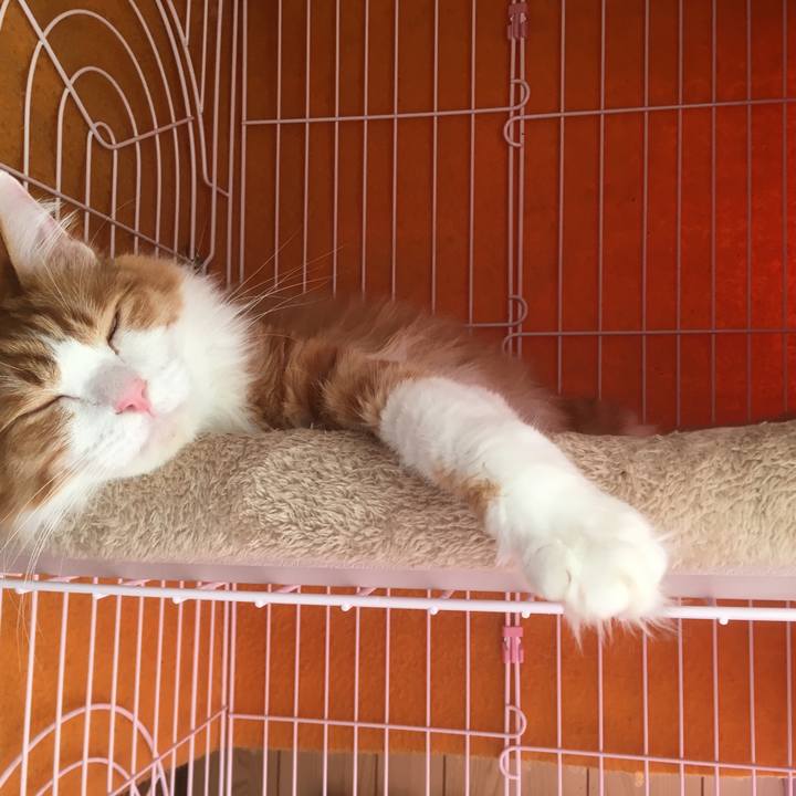 E3179b94 6f79 4121 8348 2f973db17ccb