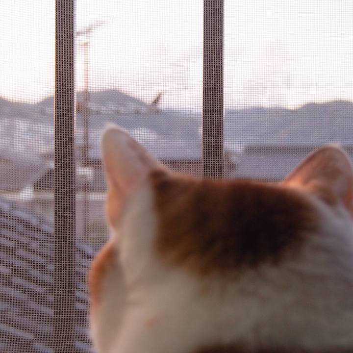 E3179d82 e198 47ee 9ea7 66ee80733a93