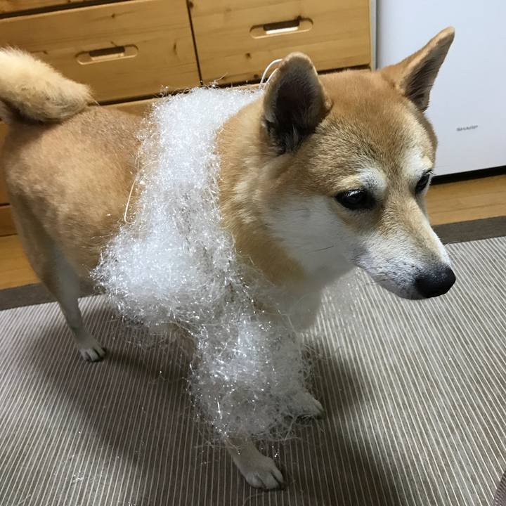 E317a675 311d 4824 9e27 3d1c2ce8b6fb