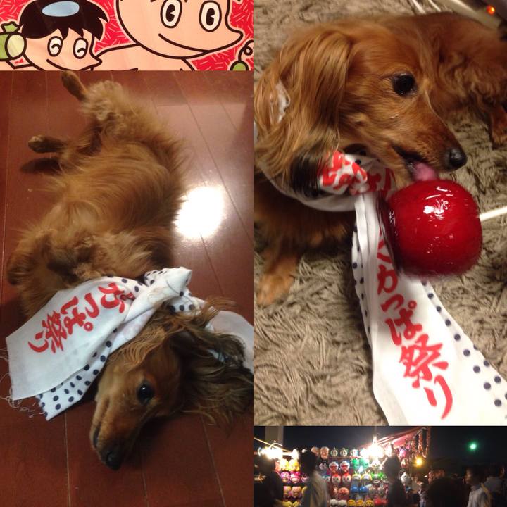 E317b4e0 7883 492f aff2 786a0e15700c