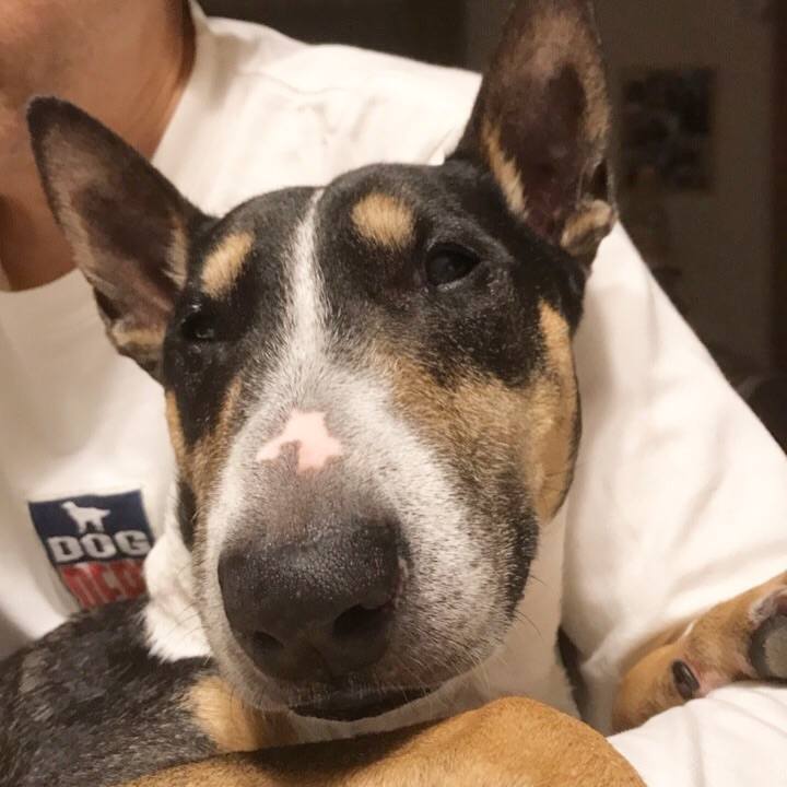 E318165d 34ee 46ad a115 5b2c8d5bf613