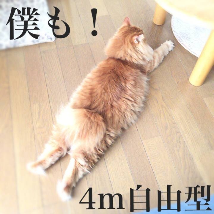 E3183ccf 457b 488c a9de baee328528fe