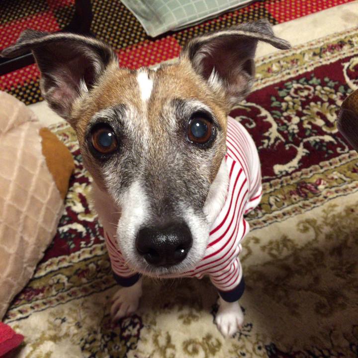 E318a13f 3ba3 4f23 8793 830e9bd64e0d