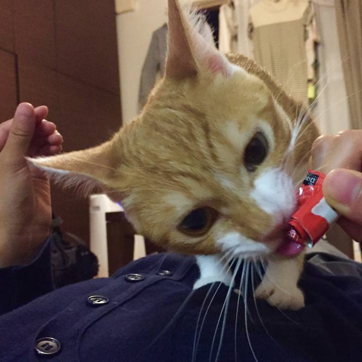 E318e47b 4d85 4f91 8094 d24f9fcc12b8