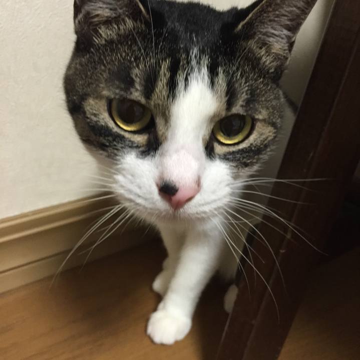 E3197984 6ff8 4620 a84b 7f41c5014404