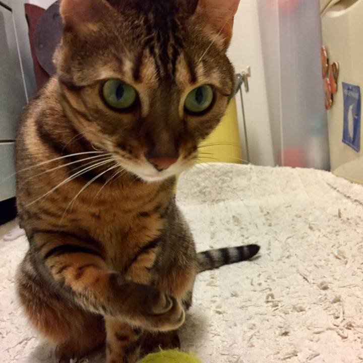 E31b82f3 2499 465c a211 f97cf50e4728