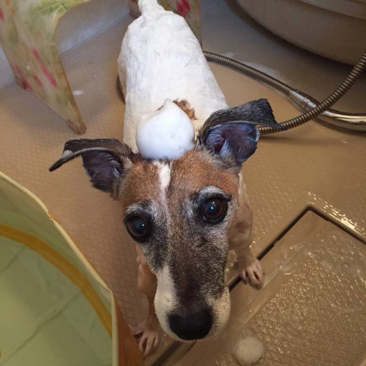 E31b8d7f 177b 409d bcdc 6012d1381e16