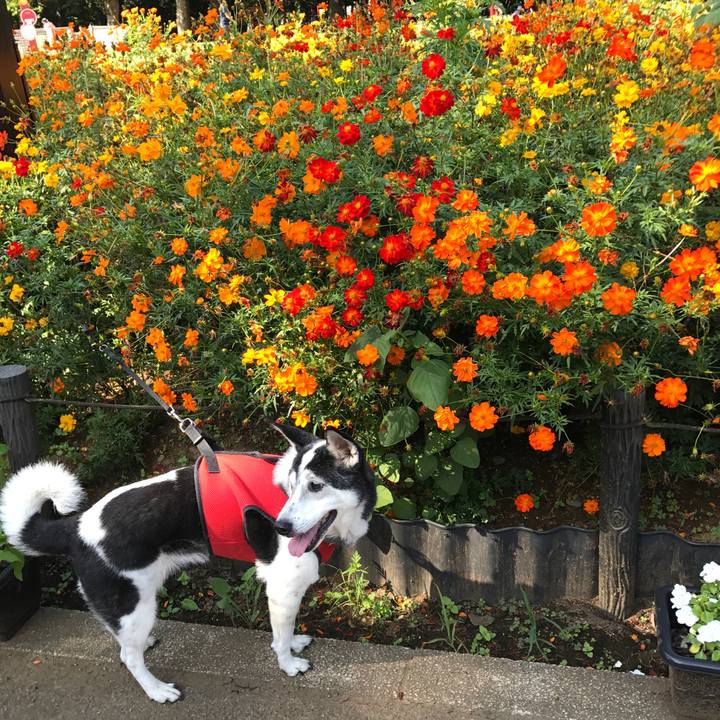 E31c5284 2228 4557 93fa c1f9ccf9a8e3