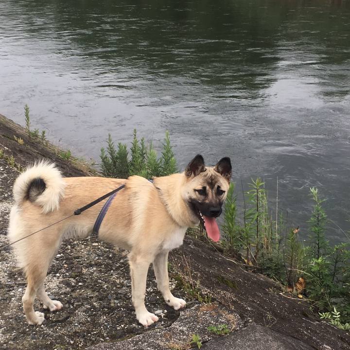 E31c8a36 64e4 4135 ab22 cfbaecb25400