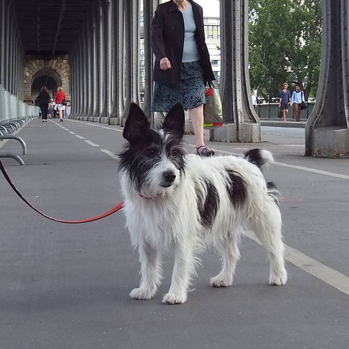 E31c8d5e 287f 4876 ac38 0048ee9f145e