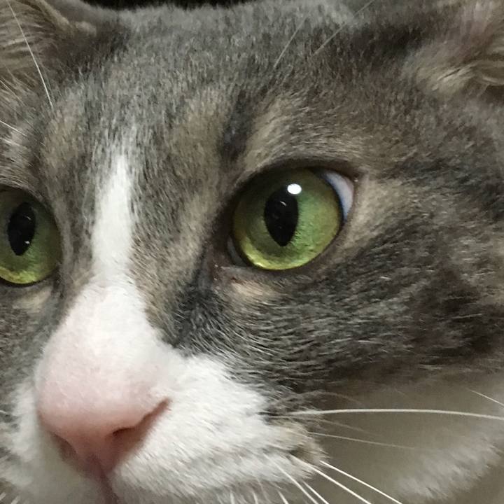 E31ca04f 142d 44ef 9835 cbacc265393c