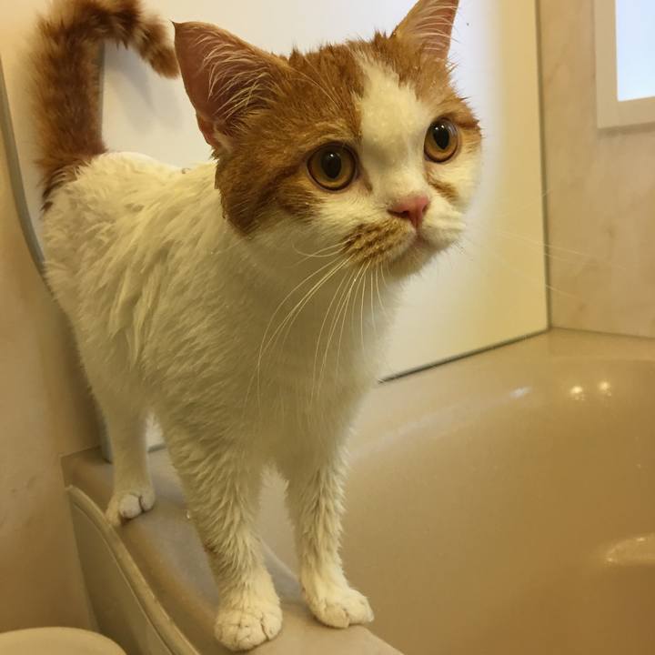 E31cafd8 cd67 456f 835d f305e45500ca