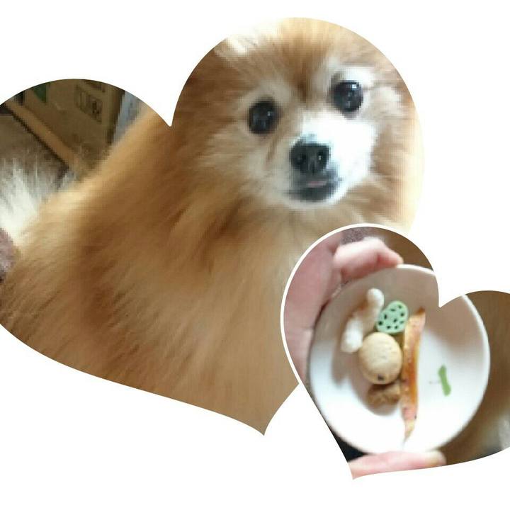 E31cb040 8f50 41e8 b92a 3e058aa0dfb3