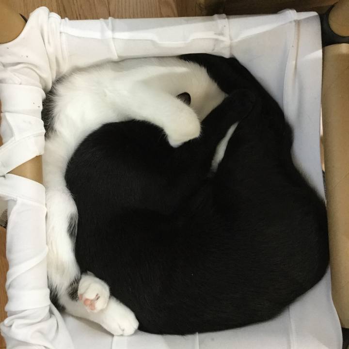 E31d78e7 354e 4f1a 9433 198a8fd2bf0f