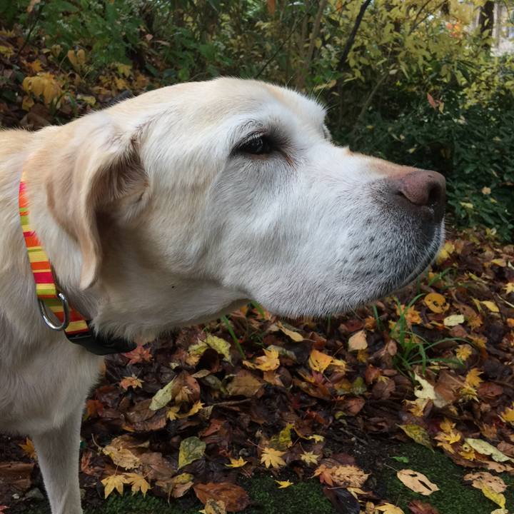 E31dc377 d527 43d4 89bd ff5422a33a1a