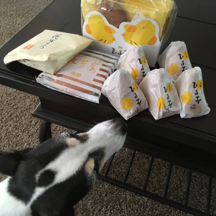 E31e74e8 6de3 448f bf1e b5aaf62de056