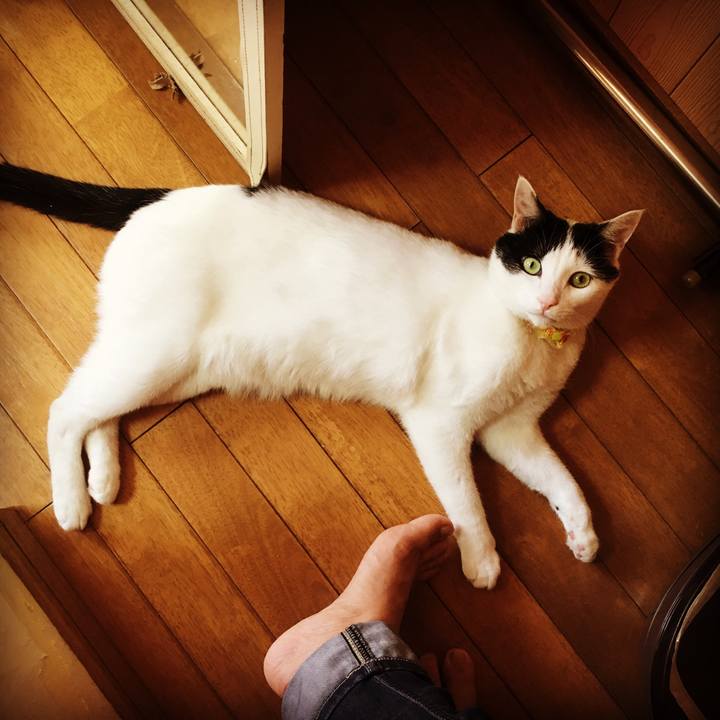 E31eab58 dcc6 43bf 9592 b546e92a594e