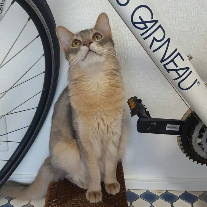 E31fd8d7 db79 49ab abee b3acde90f0dd