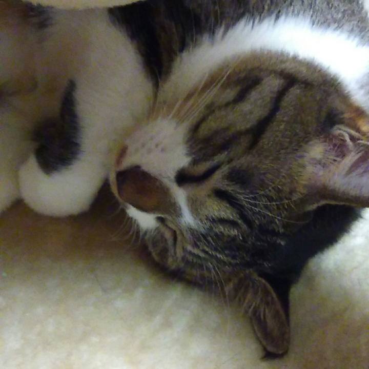 E3200c59 ee30 4d5e 827b 2c9b0a66d768