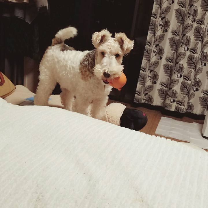 E32094dc b0bf 4569 8eb9 23dbb55ea842