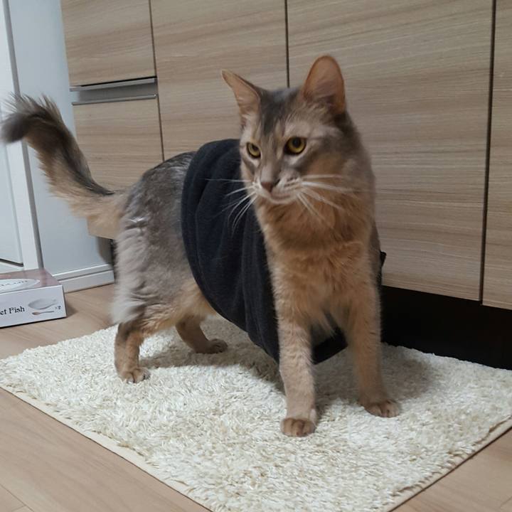 E320cdc7 d8c8 41f0 8805 627bcaf53f30