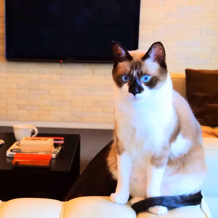 E320e9d5 d35c 4249 86ef 036be5d6fec1