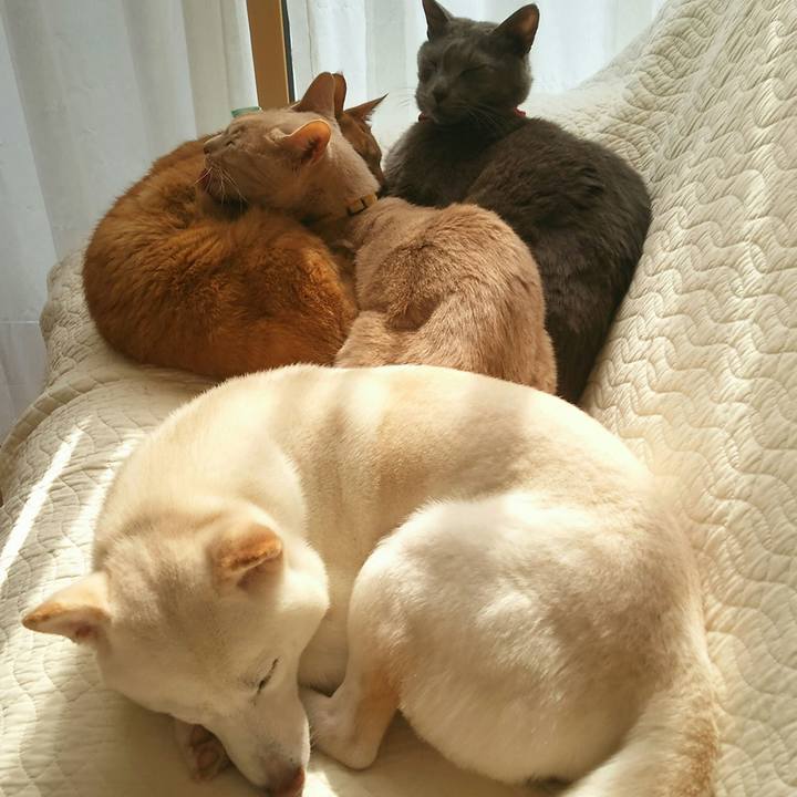 E321319f cb25 4831 a93a c1c76e1a9bb1