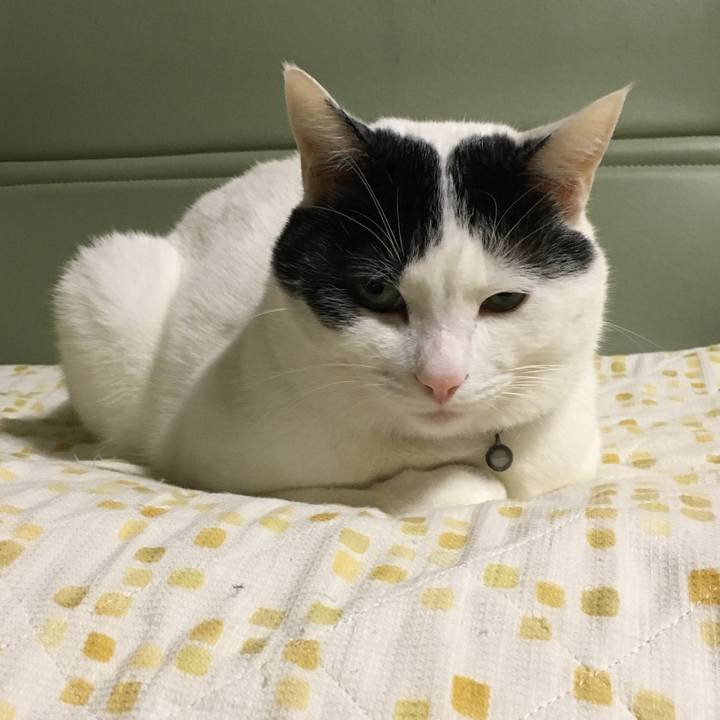 E3213b79 bc73 4ab7 8672 1efb3e81e2d7