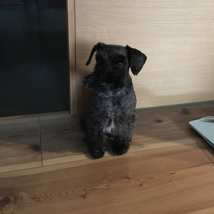 E3218cde d2d2 4b11 91c2 0de842ad7bfa