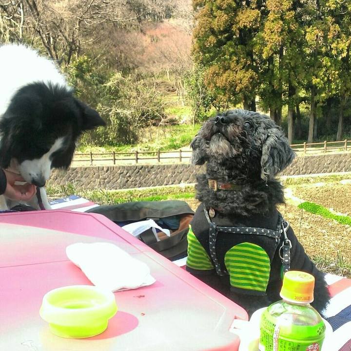 E321c964 0f7f 4ff8 8dfe c7064669def4