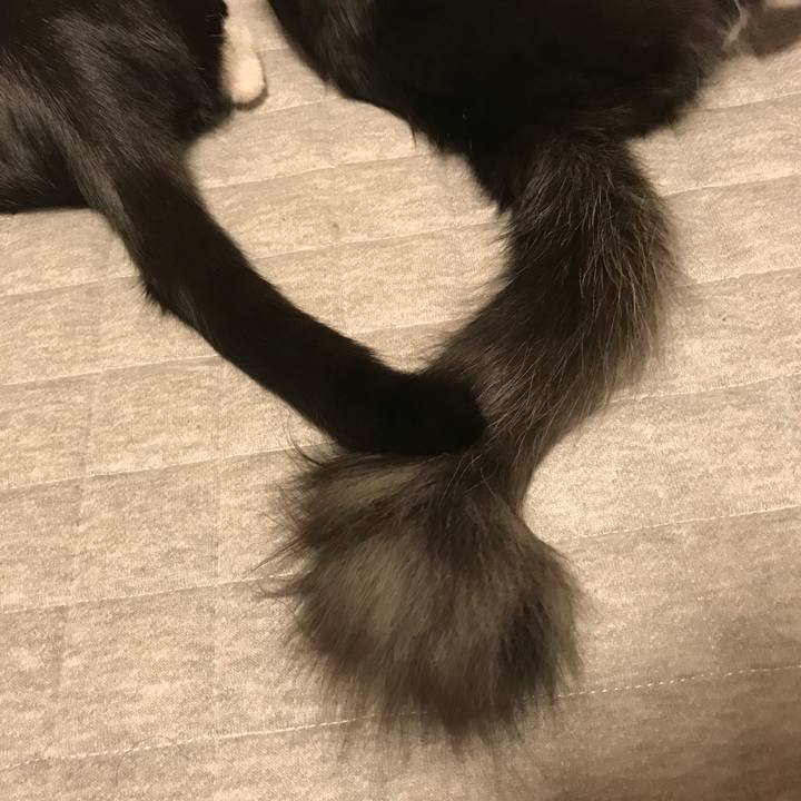 E3220bce 6f52 42a9 aa0f 4f384ab38033