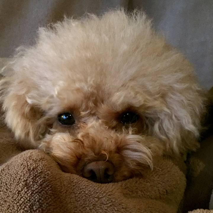 E32306c9 11c3 4b55 b4fa 890ed6933369