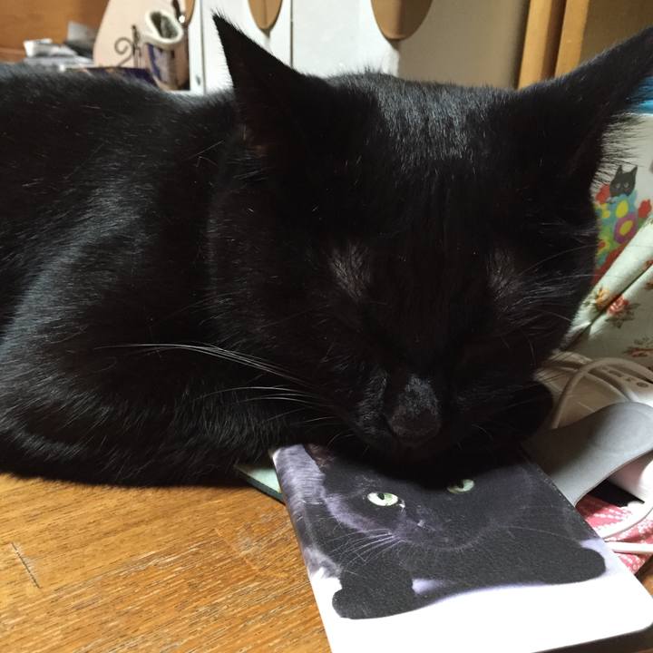 E3244df0 d78e 44df a67e 3c83228b1e62