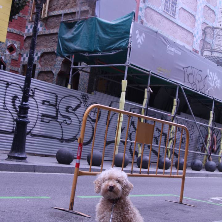 E3250d57 9716 4b01 9486 f5c57fb88a07