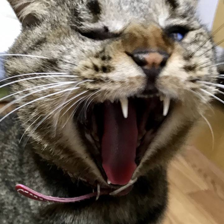 E326939b e9c9 41f9 b7cd 17f7e3974c2c