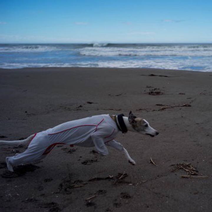 E326946c 8c4e 45ed b6fd d0dec2b91af4