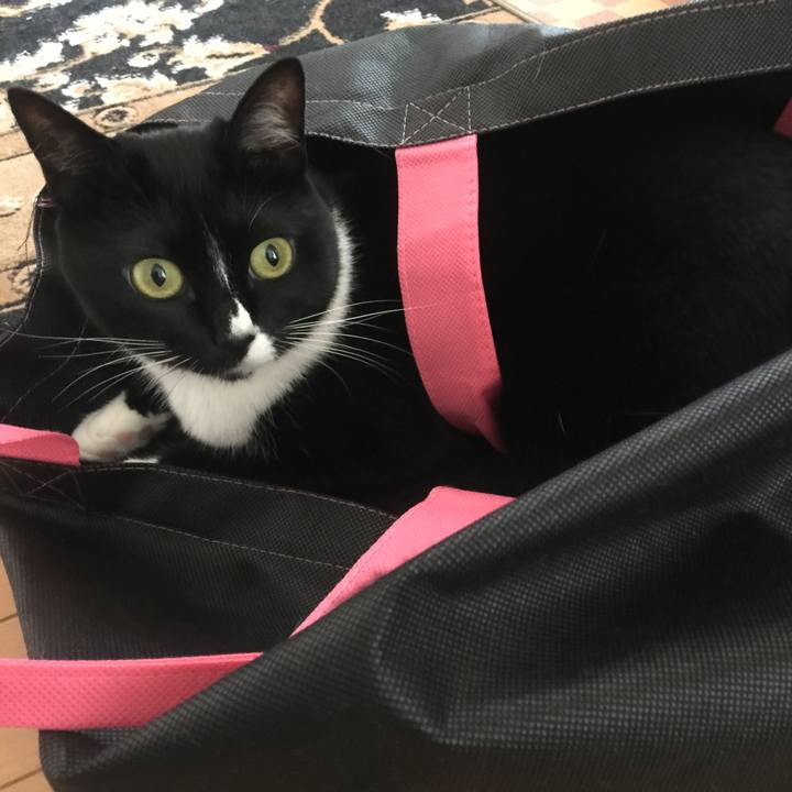 E3274284 fe15 48f9 b332 37c3e1bf8274